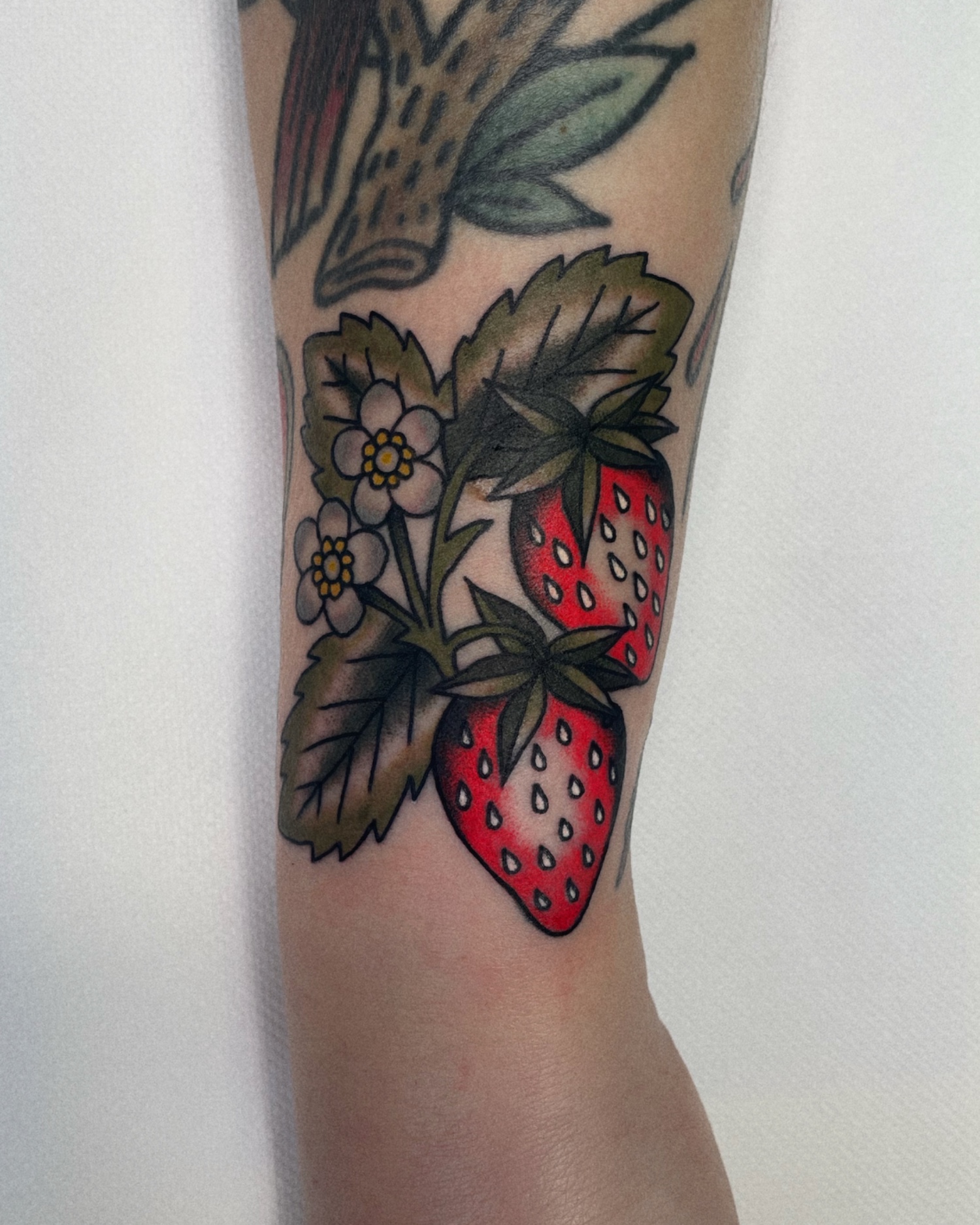 autorski do-3-godzin-wykonanie klasyka maly neotradycjny oldschool swiezy tradycyjny 