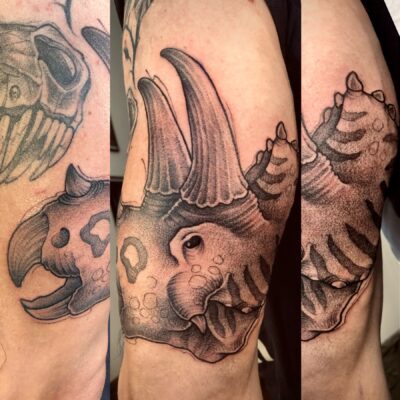 meg-ink – graphic cała sesja